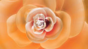 Flower Moving Background in HD Studio 1 Productions