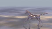 Video Background of a Horse Running in HD Studio 1 Productions
